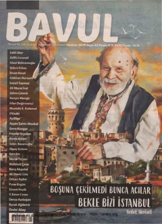 Bavul Sayı 045