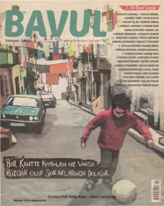 Bavul Sayı 013