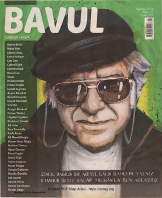 Bavul Sayı 011