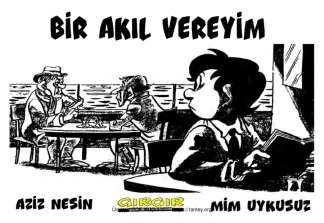 Bir Akıl Vereyim