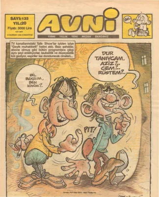 Avni Sayı 133