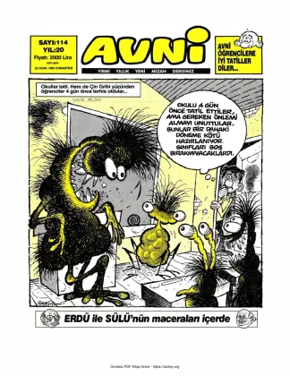 Avni Sayı 114 kitap kapağı