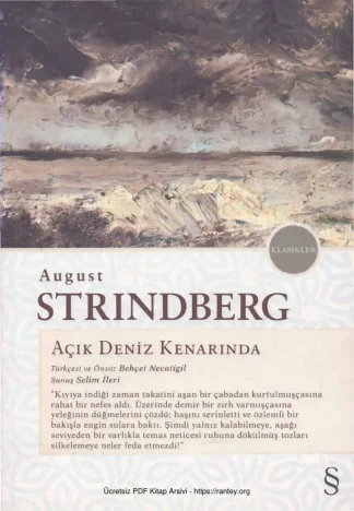 Açık Deniz Kenarında
