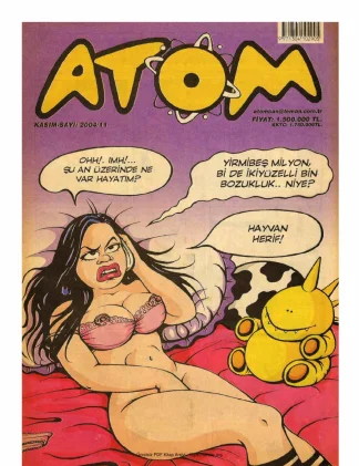 Atom 2004 Sayı 11