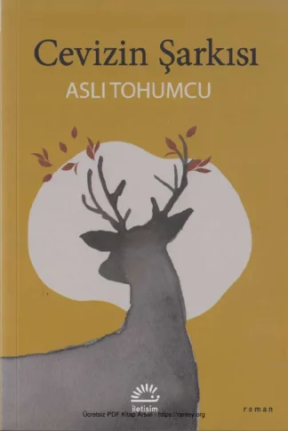 Cevizin Şarkısı İletişim Yayınları kitap kapağı