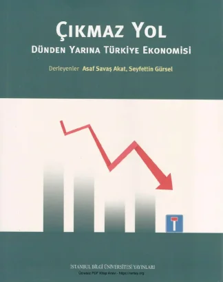 Çıkmaz Yol Dünden Yarına Türkiye Ekonomisi kitap kapağı