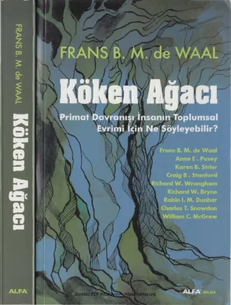 Waal Köken Ağacı