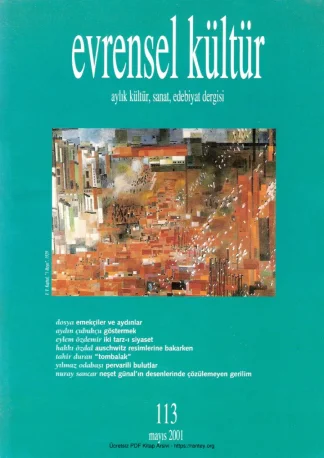 Evrensel Kültür Sayı 113 - Mayıs 2001