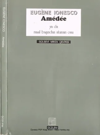 Amede ya da nasıl başından atarsın onu Düzlem Yayınları