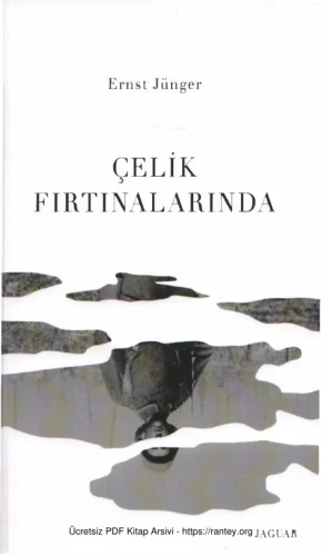 Çelik Fırtınalarında Jaguar Yayınları
