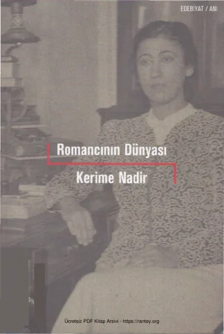 Romancının Dünyası