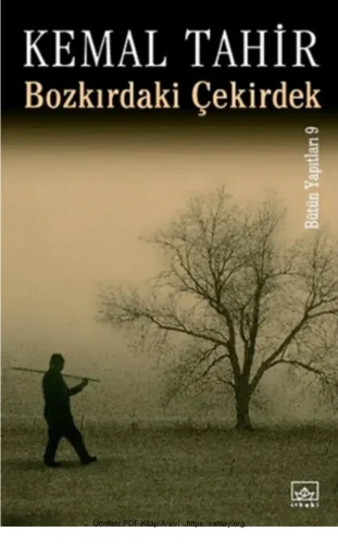 Bozkırdaki Çekirdek