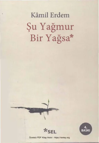 Şu Yağmur Bir Yağsa