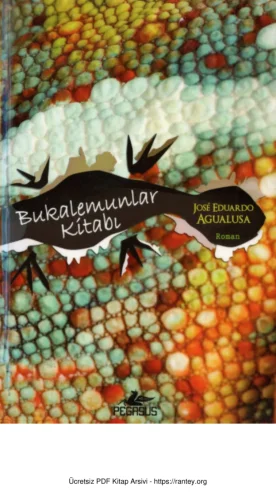 Agualusa Bukalemunlar Kitabı