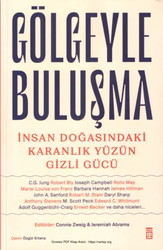 Connie Zweig Gölgeyle Buluşma kitap kapağı