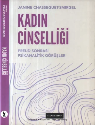 Smirgel Kadın Cinselliği Sekans Yayınları kitap kapağı
