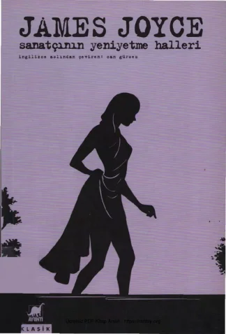 Sanatçının Yeni Yetme Halleri kitap kapağı