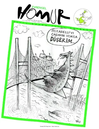 Homur Evrensel 29 kitap kapağı