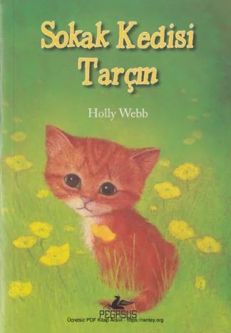 Sokak Kedisi Tarçın