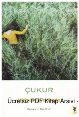 Çukur