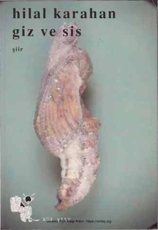 Giz ve Sis Kül Sanat Yayınları kitap kapağı
