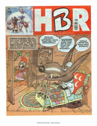 HBR Maymun Sayı 256