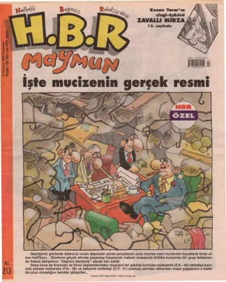 HBR Maymun Sayı 213