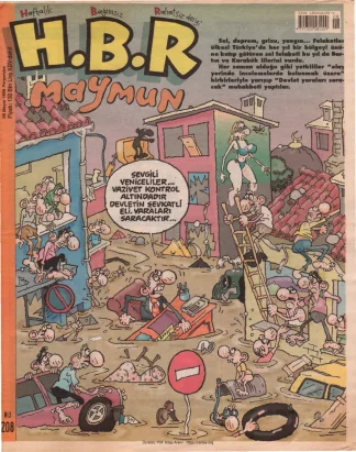 HBR Maymun Sayı 208