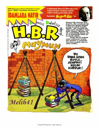 HBR Maymun Sayı 033