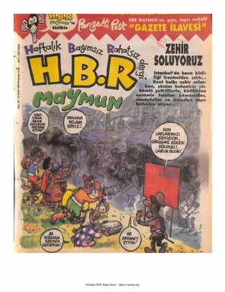 HBR Maymun Sayı 028
