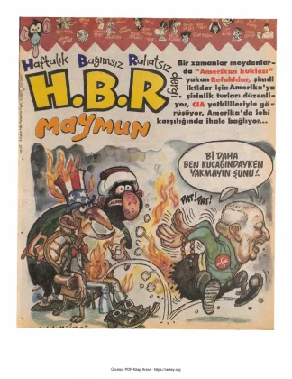 HBR Maymun Sayı 022