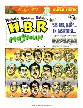 HBR Maymun Sayı 017
