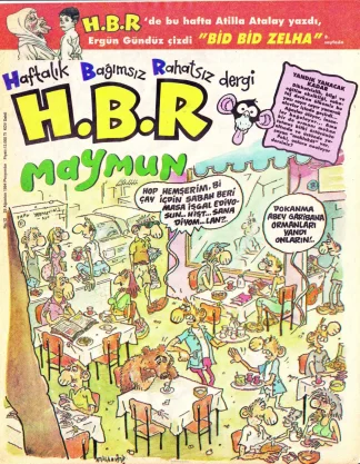 HBR Maymun Sayı 012