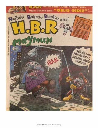HBR Maymun Sayı 008