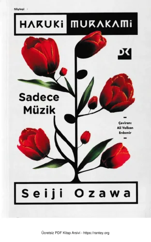 Sadece Müzik