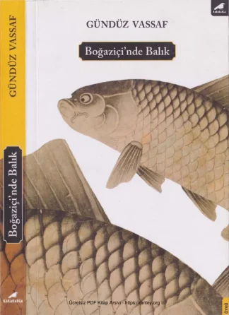 Boğaziçinde Balık Karakarga Yayınları