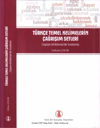 Türkçe Temel Kelimelerin Çağrışım Setleri