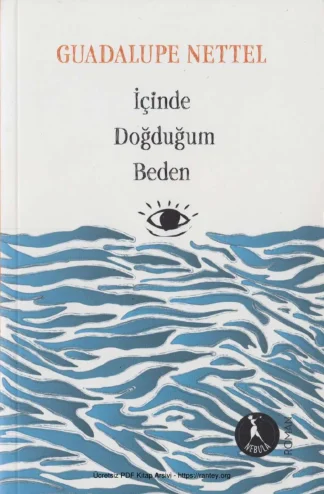 İçinde Doğduğum Beden Cem Yayınevi kitap kapağı