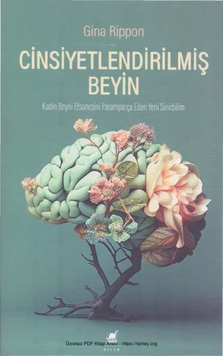 Cinsiyetlendirilmiş Beyin kitap kapağı