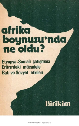 Afrika Boynuzunda Ne Oldu kitap kapağı