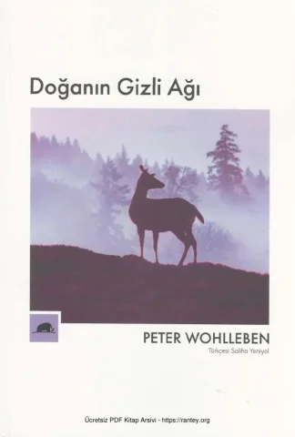Doğanın Gizli Ağı Kolektif Yayınları kitap kapağı