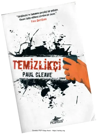 Temizlikçi Pegasus Yayınları