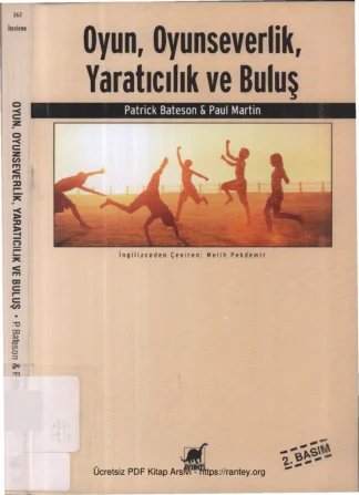 Oyun Oyunseverlik Yaratıcılık ve Buluş