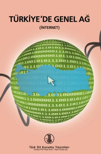 Türkiyede Genel Ağ İnternet