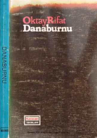 Danaburnu