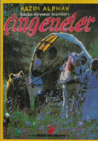 Başka Dünyanın İnsanları Çingeneler kitap kapağı