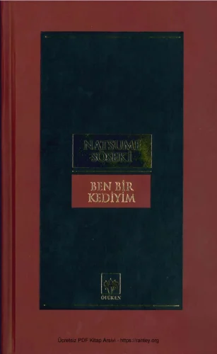 Ben Bir Kediyim Ötüken Yayınları