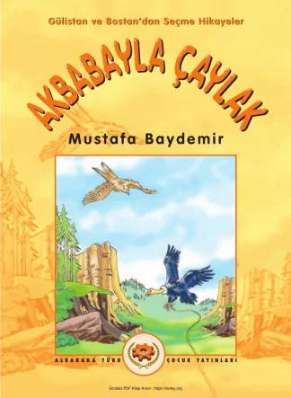 Akbabayla Çaylak kitap kapağı
