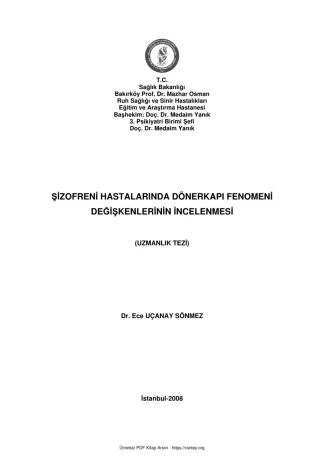 şizofreni dönerkapı