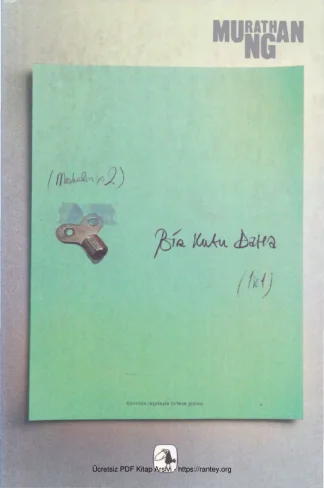 Bir Kutu Daha